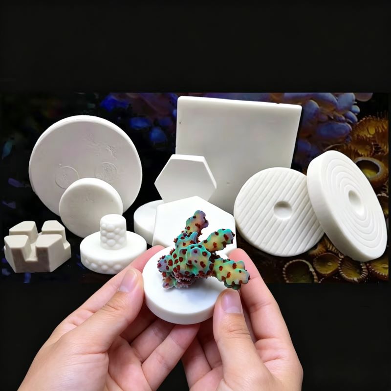 Shelly Plug - SPS Ceramic Coral Frag Plugs Base