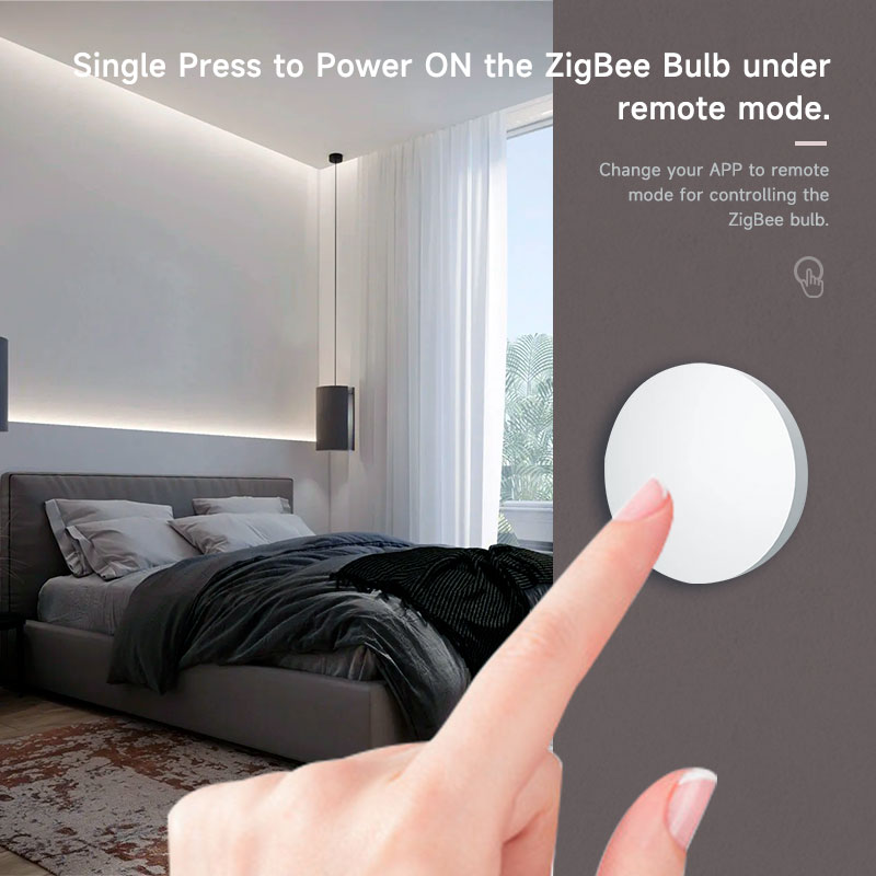 Tuya ZigBee Smart Wireless But - đánh giá và giá Home Assistant Tuya